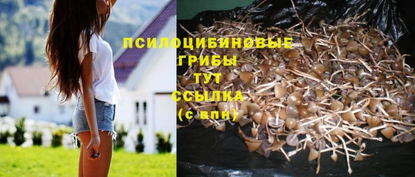 винт Бугульма
